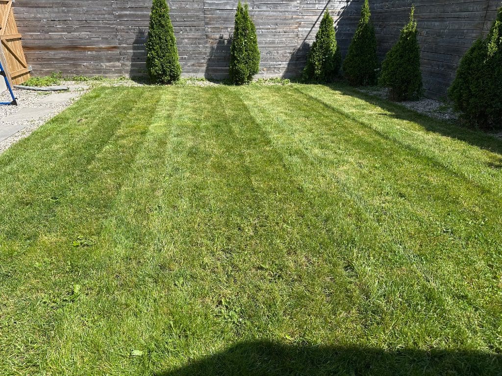 Backyard with deep, even mowing stripes