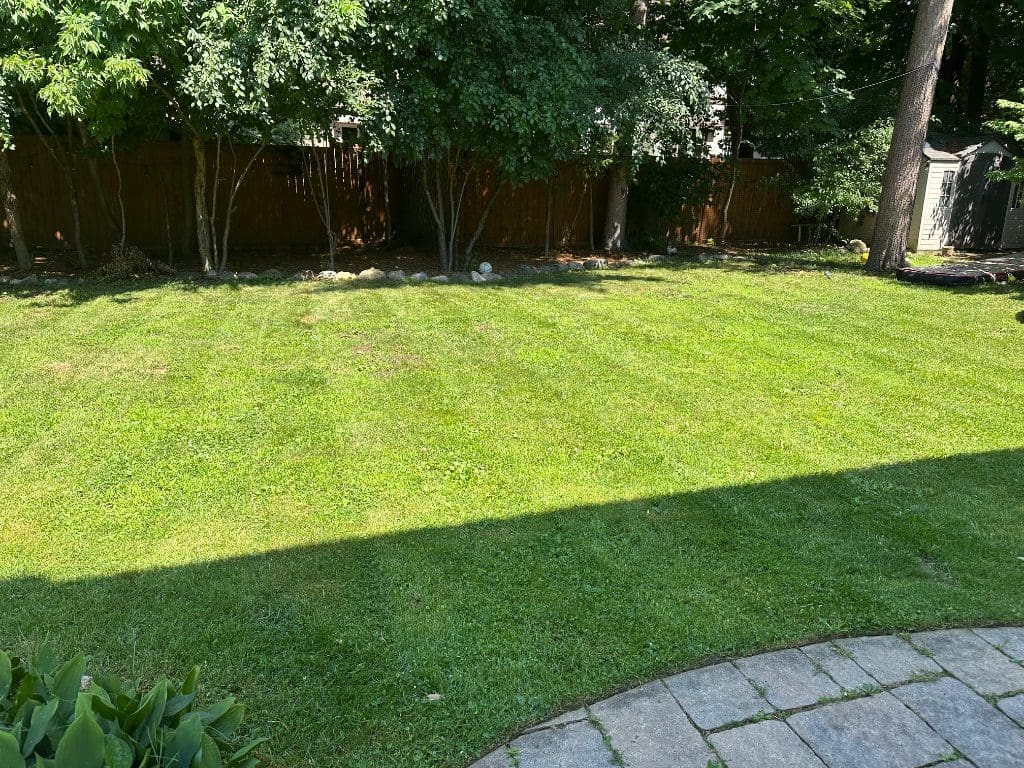 Backyard finished and tidy