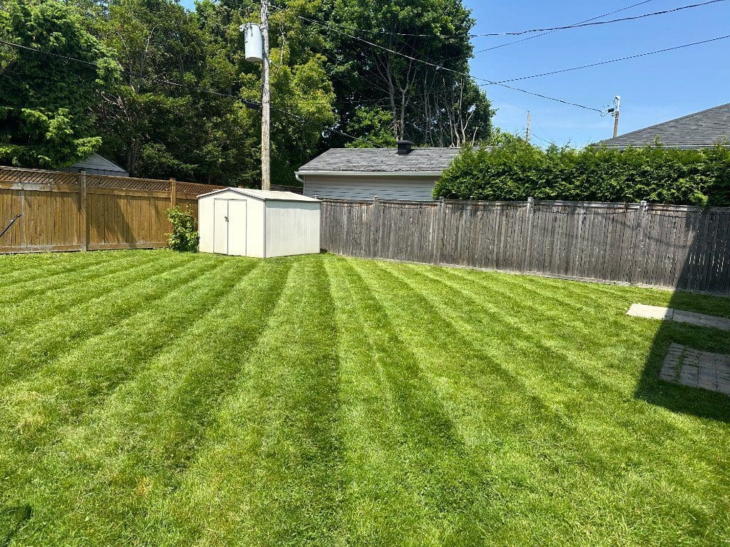 Backyard with crisp mowing stripes