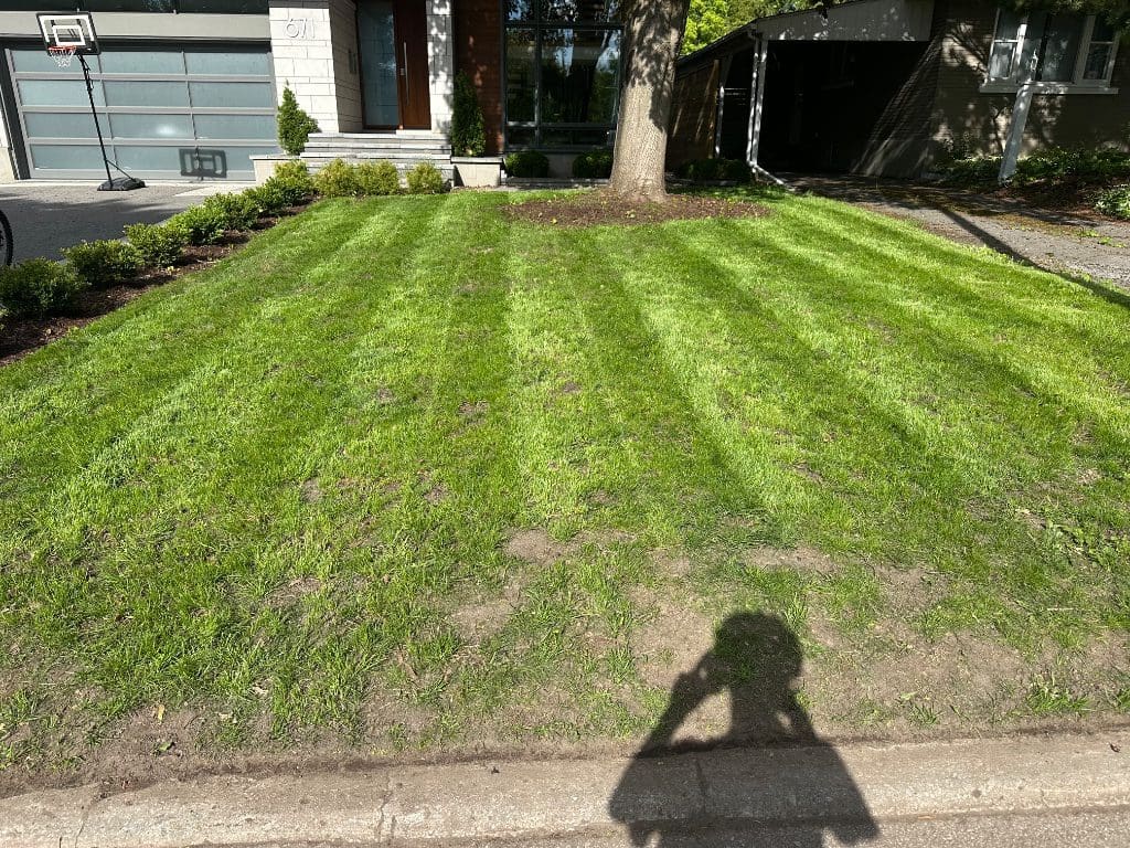 Clean mowing lines and crisp finish