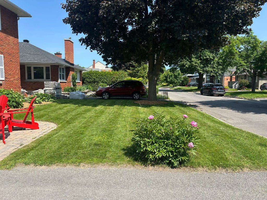 Front yard cleared and tidy after a cleanup
