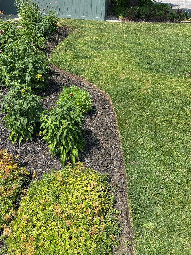 Garden bed with crisp edging