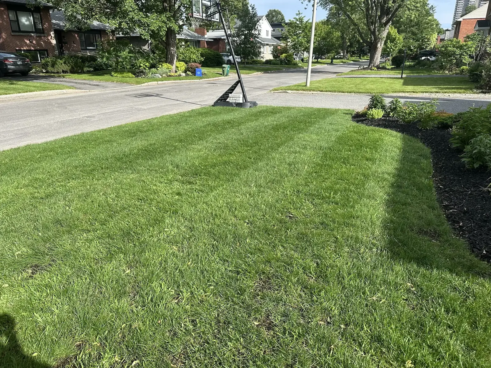 A neatly mowed front yard with crisp light-and-dark stripes