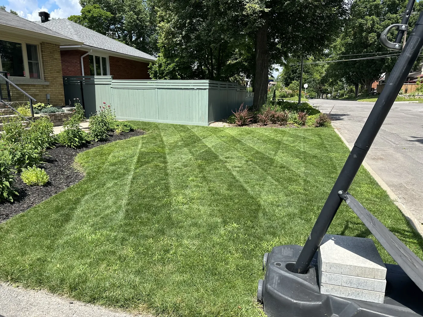 Freshly cut lawn with crisp mowing stripes — the payoff of a detailed visit