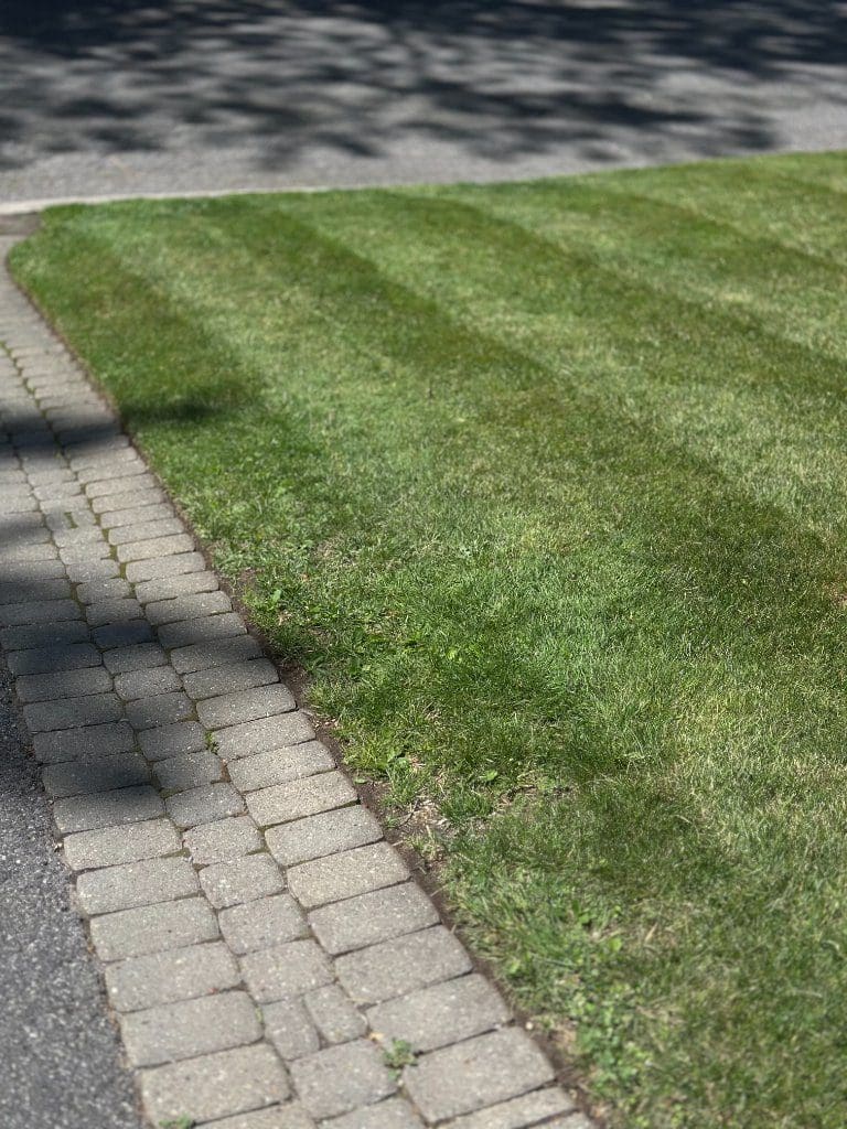 Clean lawn edge after trimming