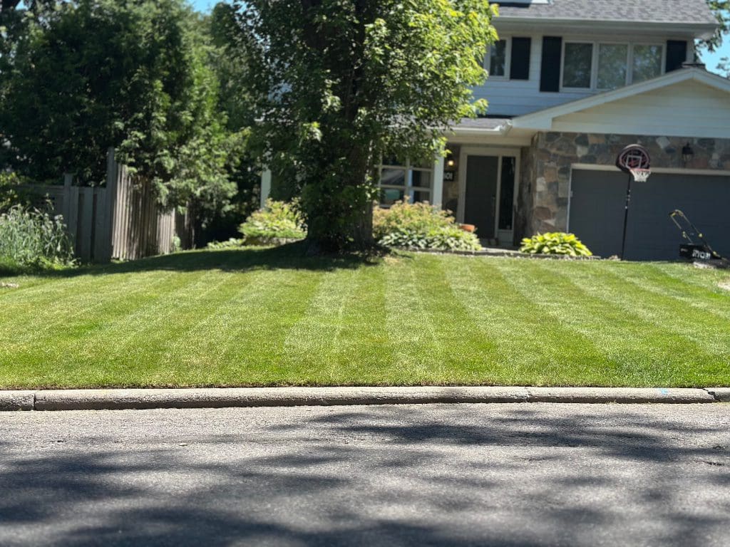 Precise mowing stripes across the lawn